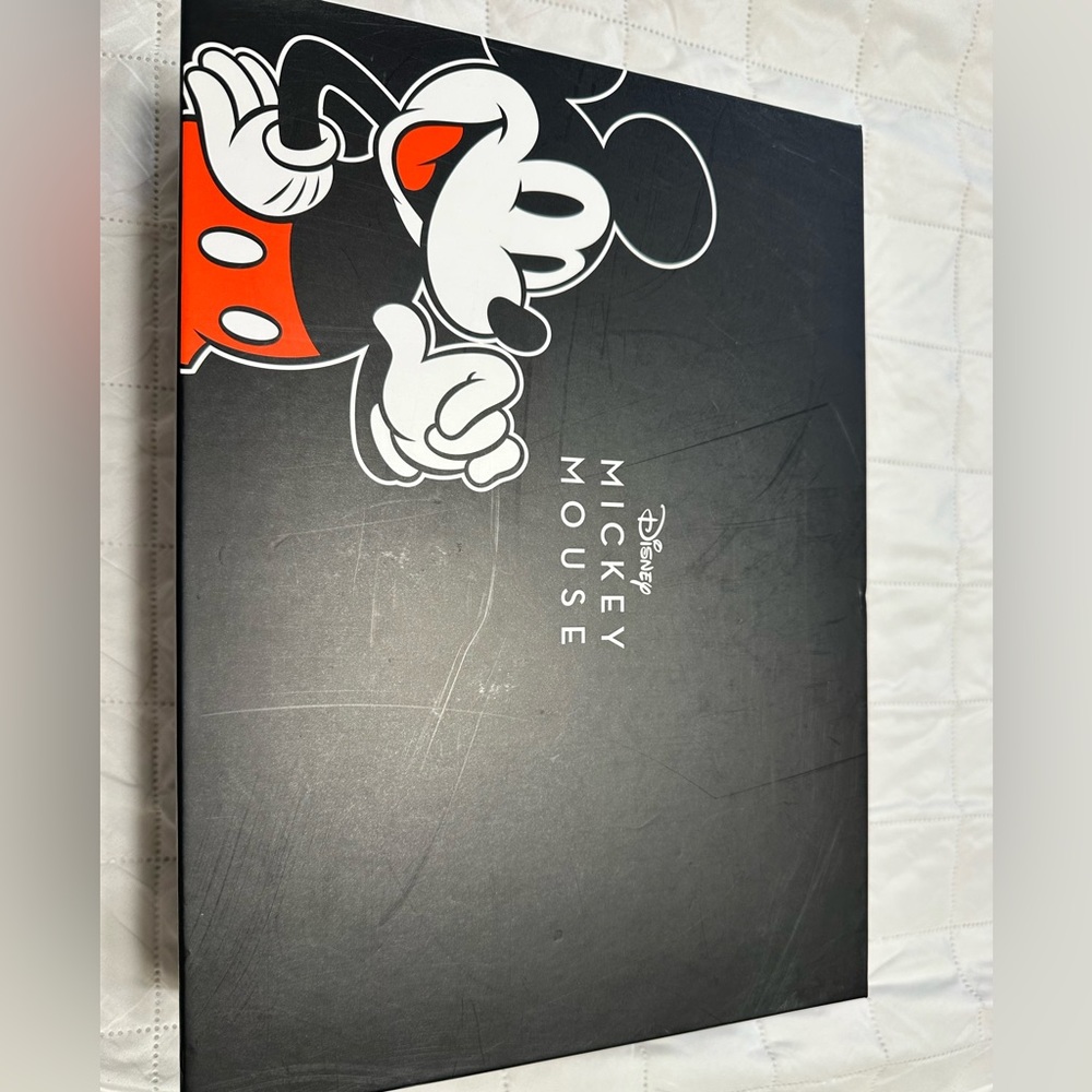 Mickey Mouse back pack